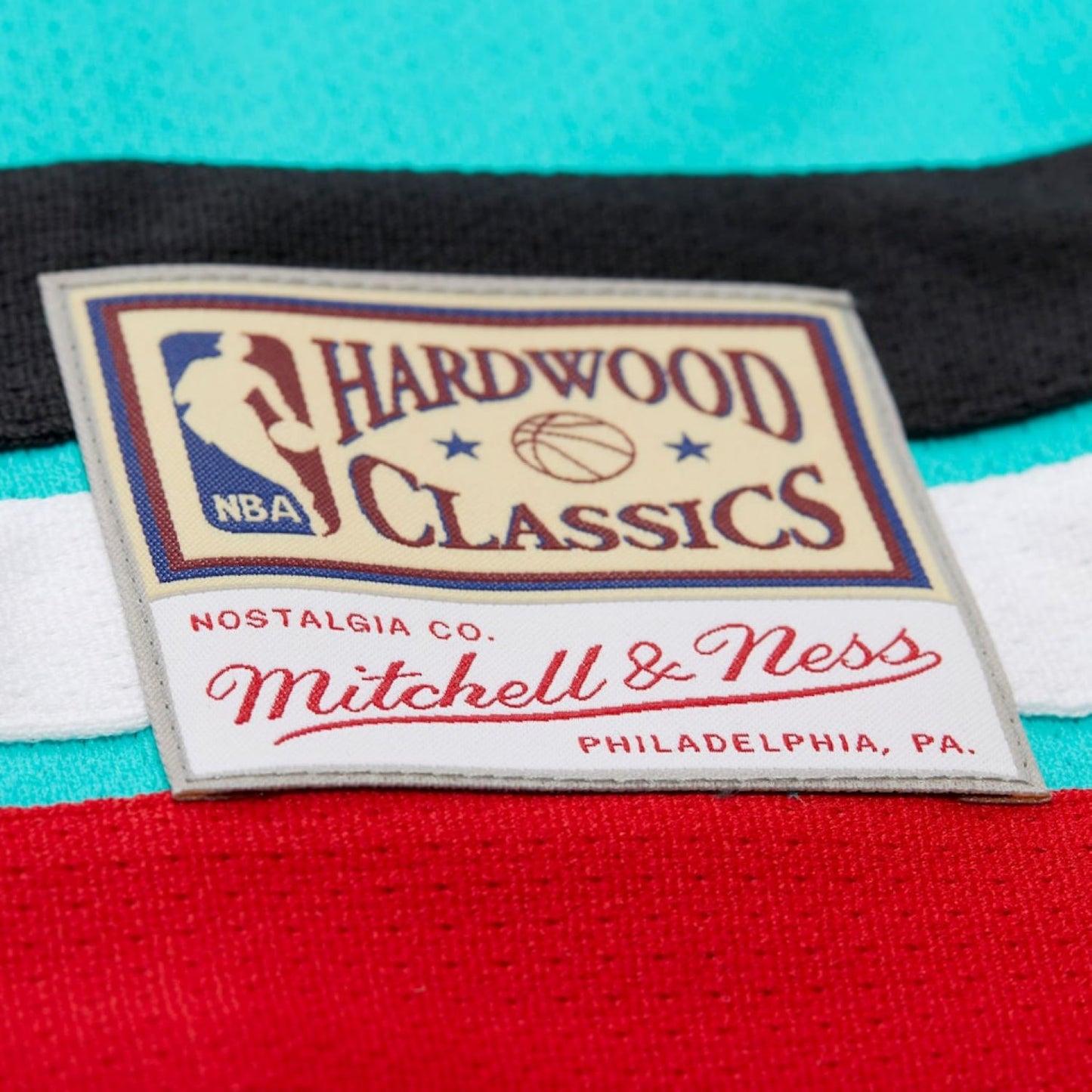 Mitchell & Ness Vancouver Grizzlies Mike Bibby #10 Maxxed Out Fashion Hockey Jersey - Turquoise
