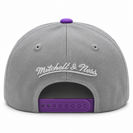 Mitchell & Ness Youth NBA Toronto Raptors Adjustable Hitch Hat - Gray/Purple
