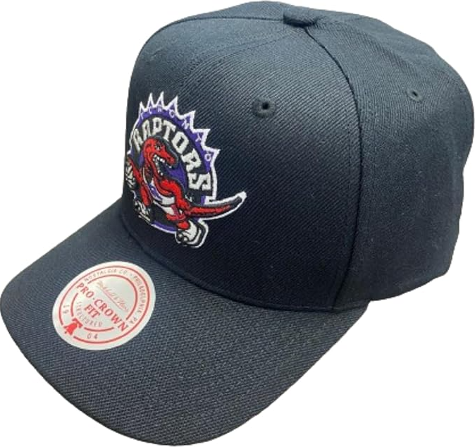 Mitchell & Ness Men's Toronto Raptors HWC Pro Crown Fit Snapback Hat - Black