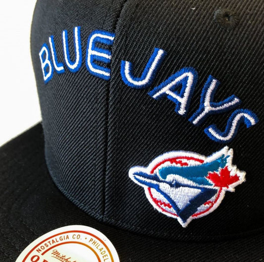 Mitchell & Ness MLB Toronto Blue Jays Triple Play Original Fit Adjustable Snapback Hat - Black