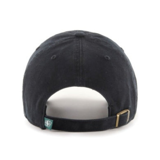 47 CFL Saskatchewan Roughriders Clean Up Adjustable Cap - Black