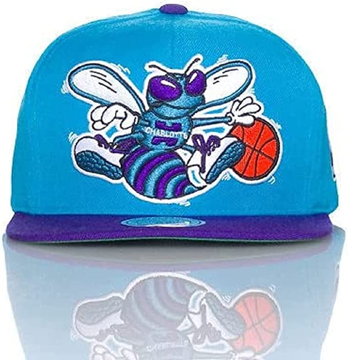 Men's Charlotte Hornets Big Logo Mitchell & Ness Teal/Purple Two