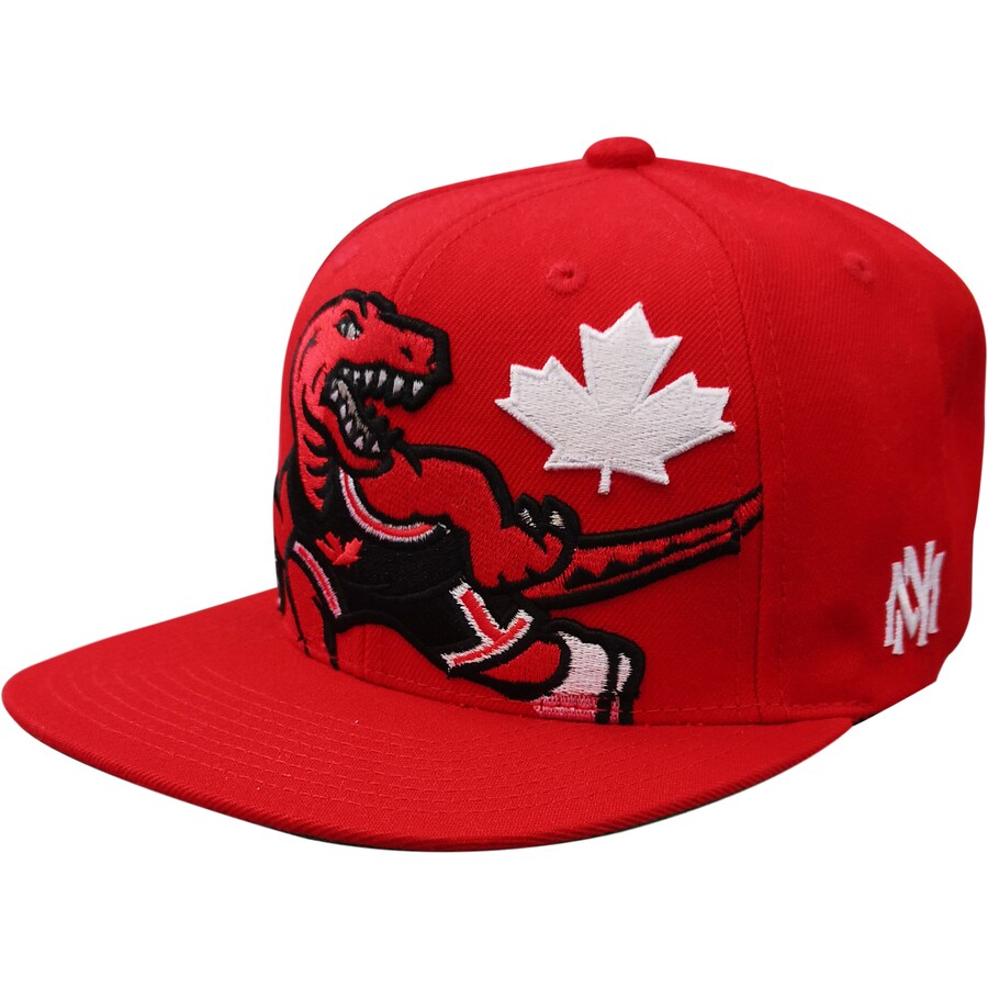 Red toronto 2024 raptors hat