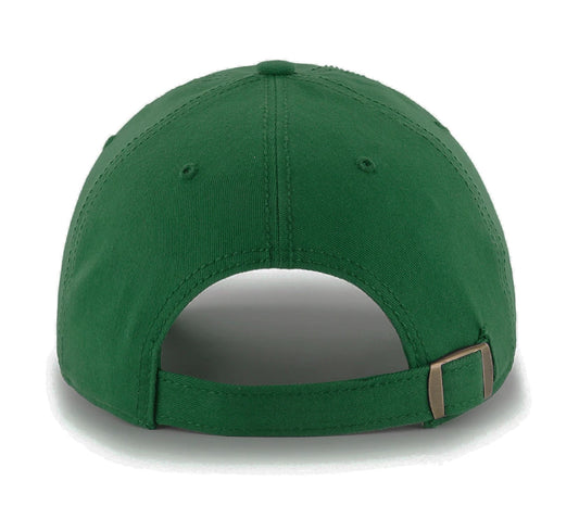 Minnesota North Stars NHL Vintage Blue Line Cap - American Needle