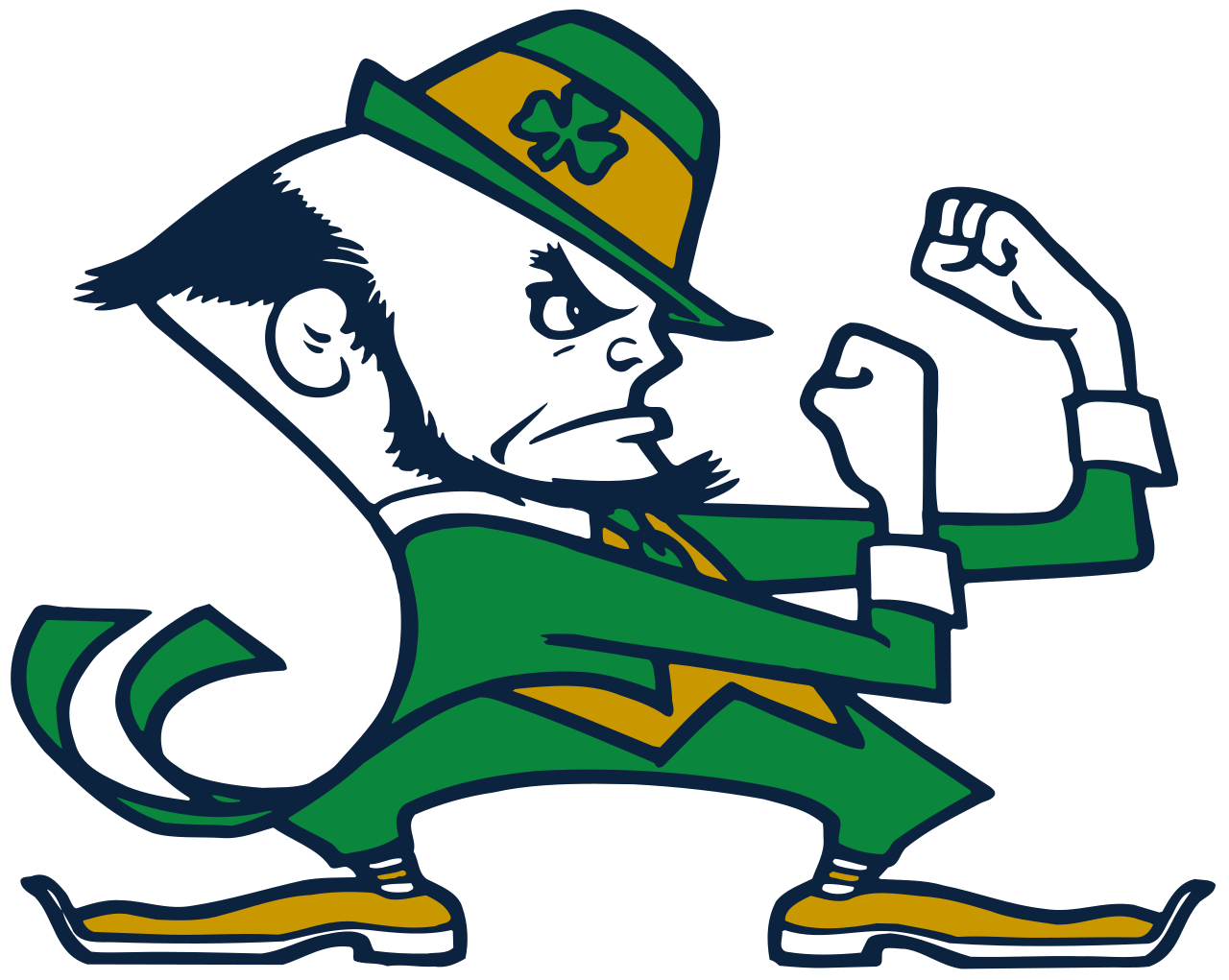 NCAA Notre Dame Fighting Irish
