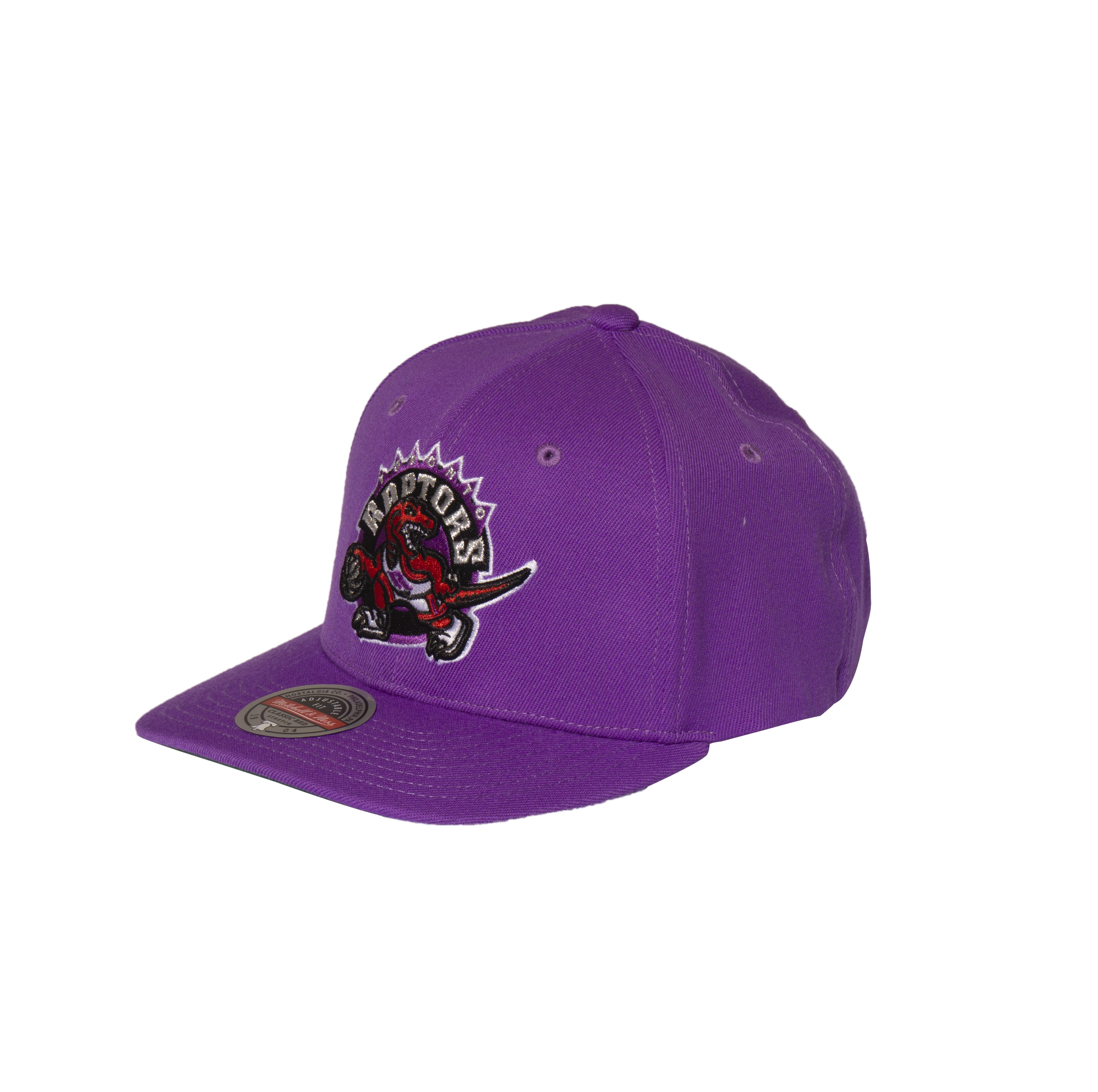 Ness Purple Raptors Hat Toronto Raptors Mitchell Ness NBA
