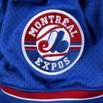 Mitchell & Ness Men's MLB Montreal Expos Vladimir Guerrero #27 Authentic 2002 Cooperstown Batting Practice Button-Up Jersey