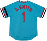 Mitchell & Ness Men's St. Louis Cardinals Ozzie Smith 1982 Cooperstown Collection Authentic Jersey - Blue