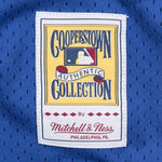 Mitchell & Ness Men's MLB Montreal Expos Vladimir Guerrero #27 Authentic 2002 Cooperstown Batting Practice Button-Up Jersey