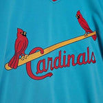 Mitchell & Ness Men's St. Louis Cardinals Ozzie Smith 1982 Cooperstown Collection Authentic Jersey - Blue