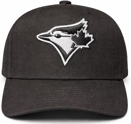 Mitchell & Ness MLB Toronto Blue Jays 1993 World Series Adjustable Snapback Hat - Black/White