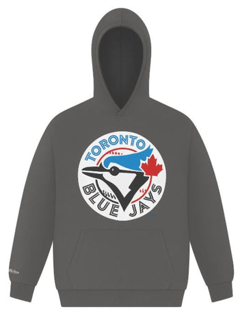 Mitchell & Ness MLB Toronto Blue Jays Cooperstown Half Logo Boxy Hoodie - Charcoal
