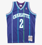 Mitchell & Ness Men's NBA Charlotte Hornets Larry Johnson 1994-95 Hardwood Classics Swingman Jersey - Purple