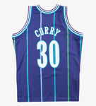 Mitchell & Ness Men's NBA Charlotte Hornets Dell Curry 1994-95 Hardwood Classics Swingman Jersey - Purple
