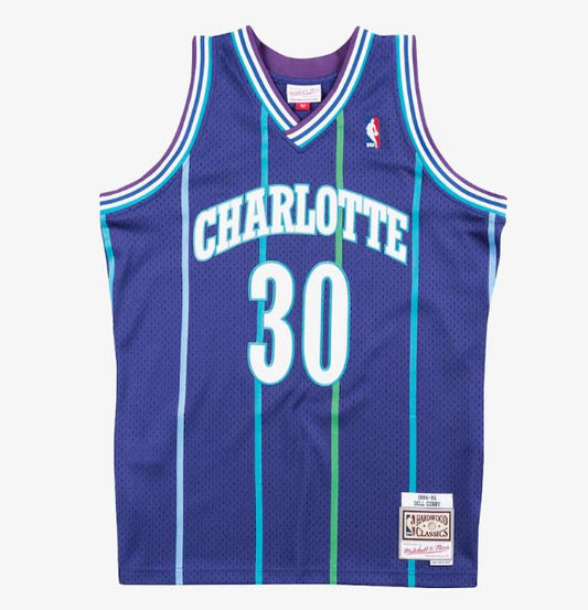 Mitchell & Ness Men's NBA Charlotte Hornets Dell Curry 1994-95 Hardwood Classics Swingman Jersey - Purple
