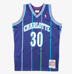 Mitchell & Ness Men's NBA Charlotte Hornets Dell Curry 1994-95 Hardwood Classics Swingman Jersey - Purple