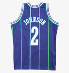 Mitchell & Ness Men's NBA Charlotte Hornets Larry Johnson 1994-95 Hardwood Classics Swingman Jersey - Purple