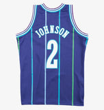 Mitchell & Ness Men's NBA Charlotte Hornets Larry Johnson 1994-95 Hardwood Classics Swingman Jersey - Purple