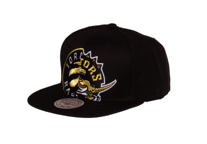 Men's Toronto Raptors Mitchell & Ness NBA Split Crown Snapback Hat Black