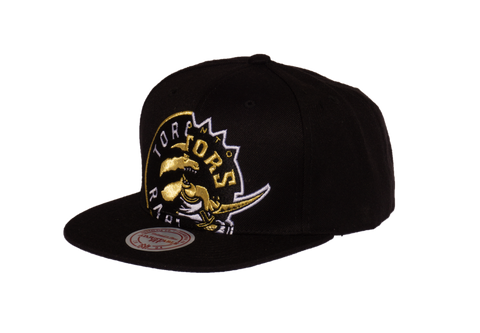 Men's Toronto Raptors Mitchell & Ness NBA Split Crown Snapback Hat Black