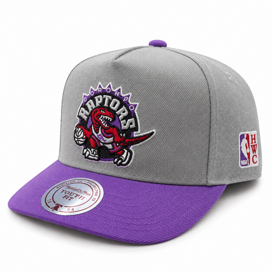 Mitchell & Ness Youth NBA Toronto Raptors Adjustable Hitch Hat - Gray/Purple
