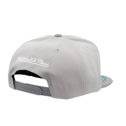 Men's Mitchell & Ness Gray Vancouver Grizzlies Munch Time Snapback Hat