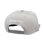 Men's Mitchell & Ness Gray Anaheim Ducks Munch Time Snapback Hat