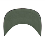 47 NHL Winnipeg Jets Roscoe Rope Option TT Hitch Snapback Hat - Green/Black