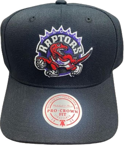 Mitchell & Ness Men's Toronto Raptors HWC Pro Crown Fit Snapback Hat - Black