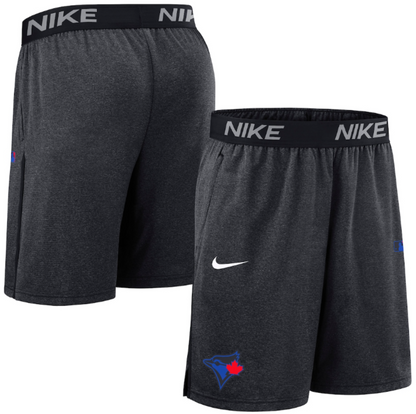 Nike MLB Toronto Blue Jays Authentic Collection City Connect Performance Knit Shorts - Charcoal