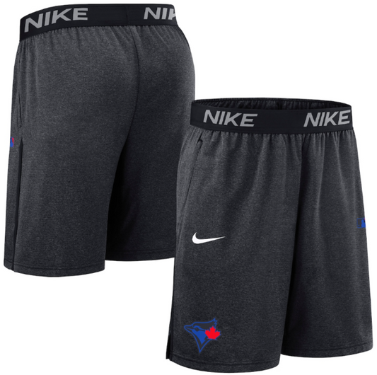 Nike MLB Toronto Blue Jays Authentic Collection City Connect Performance Knit Shorts - Charcoal
