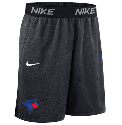Nike MLB Toronto Blue Jays Authentic Collection City Connect Performance Knit Shorts - Charcoal