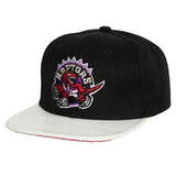 Toronto Raptors Mitchell & Ness Hardwood Classics SSBSTS Snapback Cap