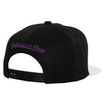 Toronto Raptors Mitchell & Ness Hardwood Classics SSBSTS Snapback Cap