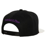 Toronto Raptors Mitchell & Ness Hardwood Classics SSBSTS Snapback Cap