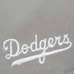 Los Angeles Dodgers MLB Mitchell & Ness Away Snapback Coop - Grey/Blue