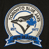Toronto Blue Jays MLB Mitchell & Ness Team Classic Snapback Coop - Black