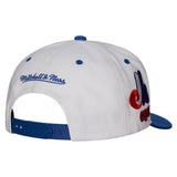 Montreal Expos Mitchell & Ness Evergreen Pro Snapback Coop - White/Blue