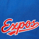 Montreal Expos Mitchell & Ness Evergreen Snapback Coop - Blue