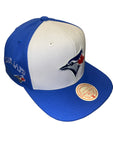 Men's MLB Mitchell & Ness Toronto Blue Jays Evergreen Snapback Hat – Blue and White
