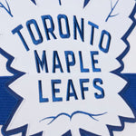 Mitchell & Ness Youth NHL Toronto Maple Leafs William Nylander #29 2018 Stadium Series Game Power Play Jersey - White
