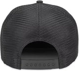 American Needle Pink Floyd Officially Licensed Adjustable Baseball Hat