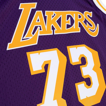 Men's Mitchell & Ness NBA Dennis Rodman Los Angeles Lakers 1998/99 Hardwood Classics Swingman Jersey - Purple