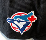 Mitchell & Ness MLB Toronto Blue Jays Triple Play Original Fit Adjustable Snapback Hat - Black