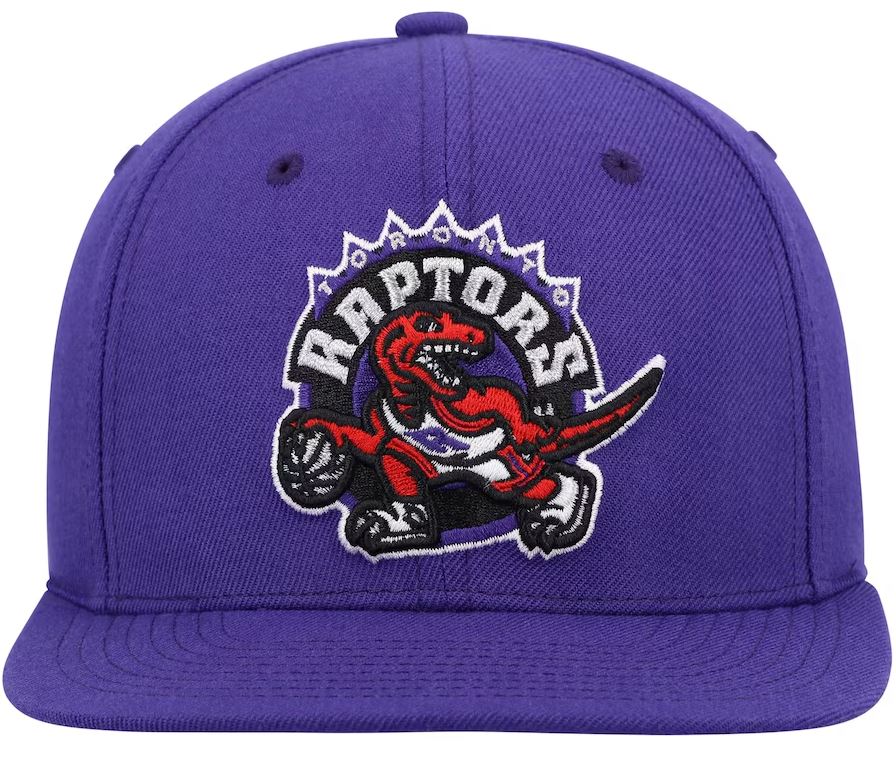 Mitchell & Ness Youth NBA Toronto Raptors Dino Team Ground 2.0 Adjustable Snapback Hat - Purple
