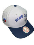 Men's MLB Mitchell & Ness Toronto Blue Jays Evergreen Pro Crown Snapback Hat - White