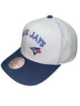 Men's MLB Mitchell & Ness Toronto Blue Jays Evergreen Pro Crown Snapback Hat - White