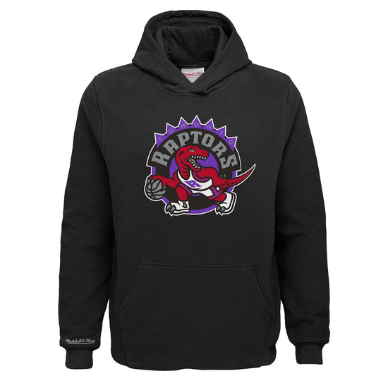 Mitchell & Ness Youth Toronto Raptors Head Coach Hardwood Classics Pullover Hoodie - Black/Purple