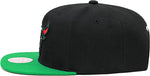 Mitchell & Ness Chicago Bulls Snapback Hat Adjustable Cap - Black/Green/Red