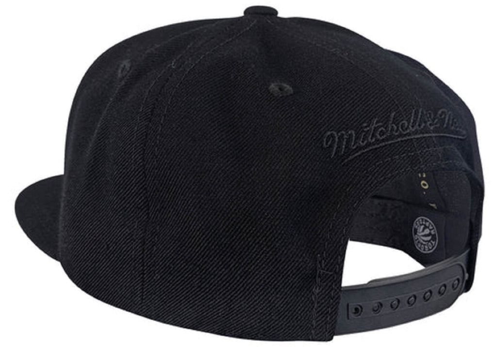 Black on black raptors hat store